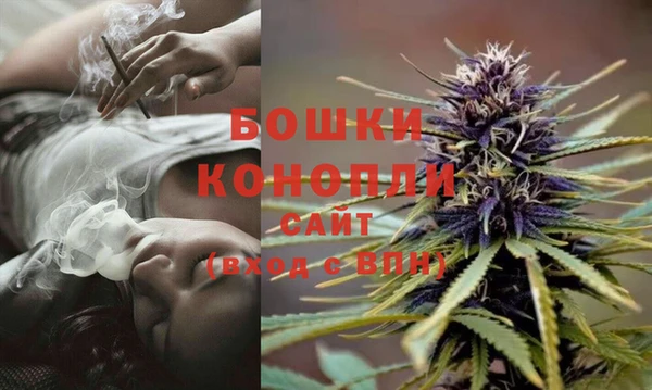 дурь Коряжма