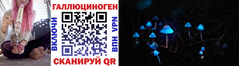 Купить  Валуйки  Псилоцибиновые грибы Psilocybe 